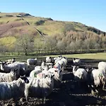 2 Bed In Sedbergh Oc-57641 بيت للعطل دينت