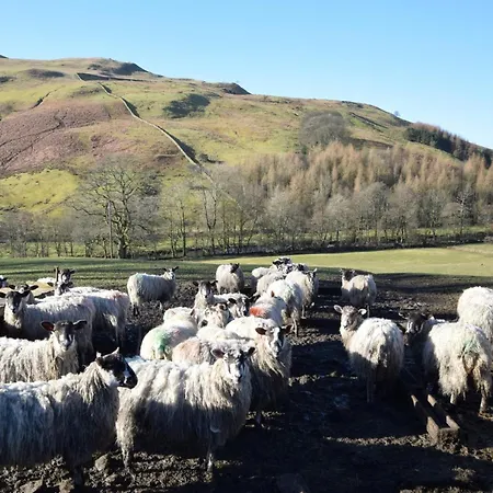 2 Bed In Sedbergh 57641 Holiday home