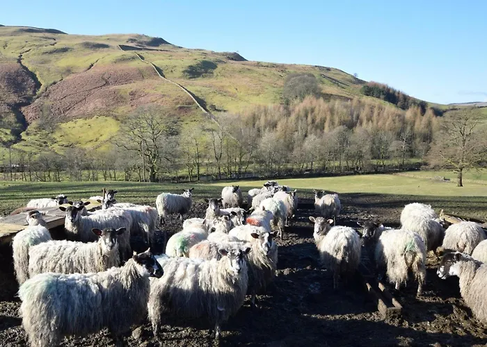 2 Bed In Sedbergh Oc-57641 Semesterbostad Dent