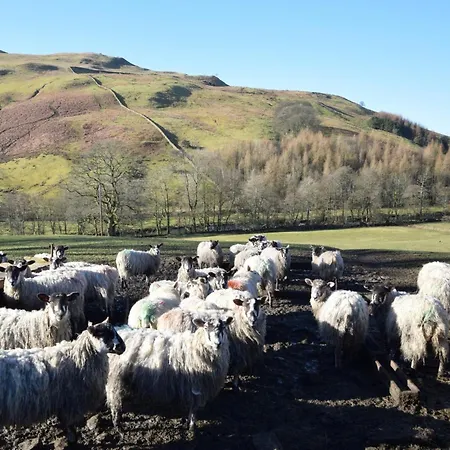 2 Bed In Sedbergh Oc-57641 Holiday home Dent